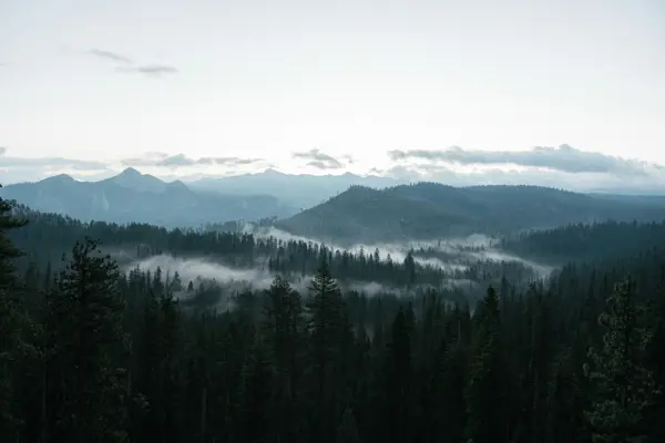 Tramitación de herencias